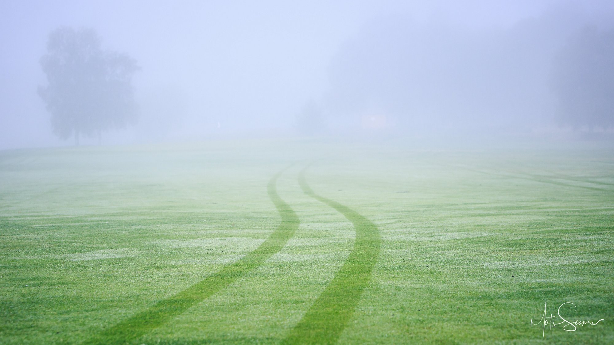 Niitvälja Golfiklubi meistrivõistlused 2019 