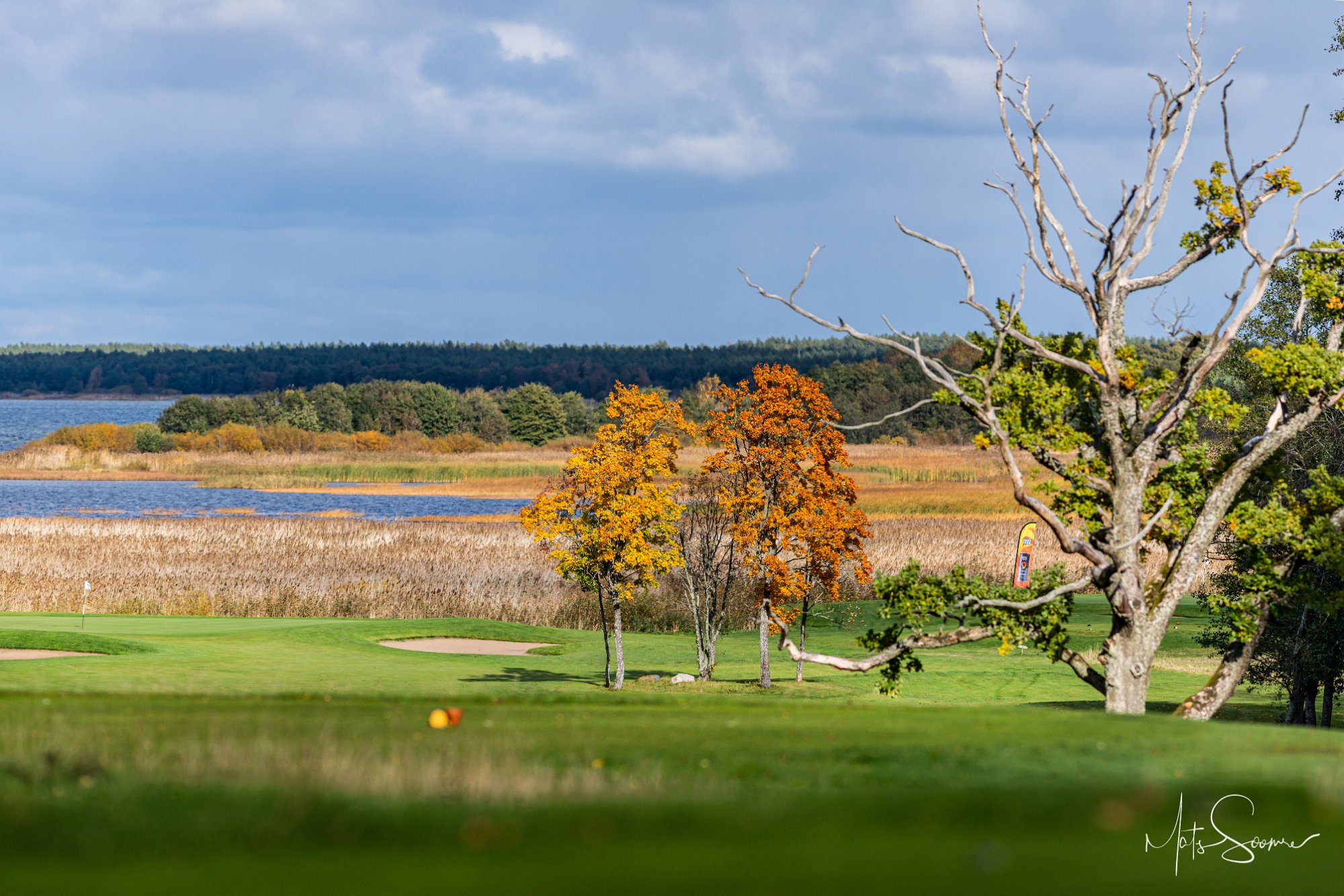 Estonian Golf & Country Club 3. rada sügisvärvides. Eesti Golfi Karikas 