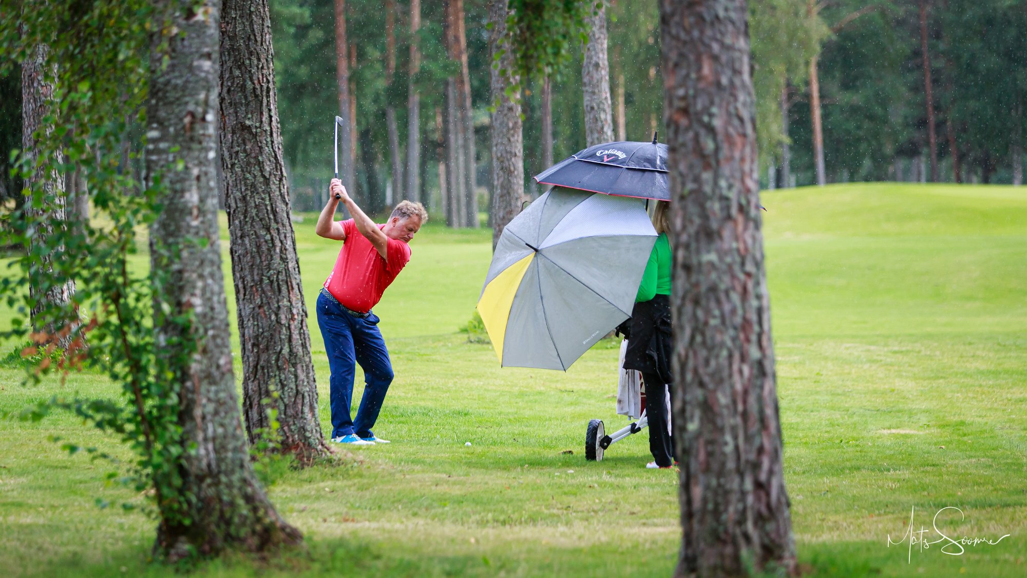 Niitvälja Golf meistrivõistlused 2019 