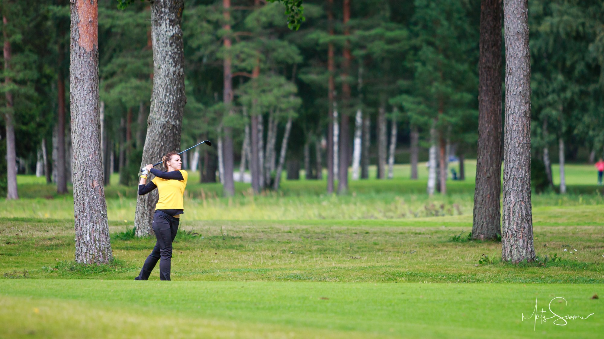 Niitvälja Golf meistrivõistlused 2019 