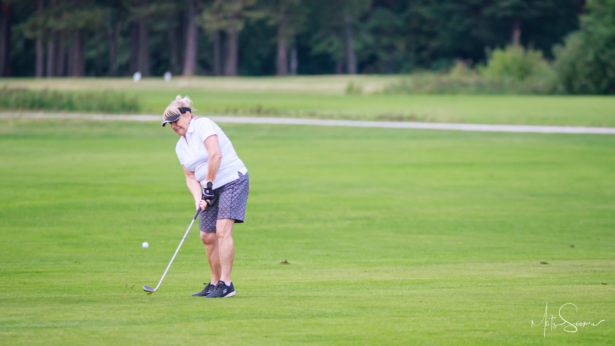 Niitvälja Golf meistrivõistlused 2019 