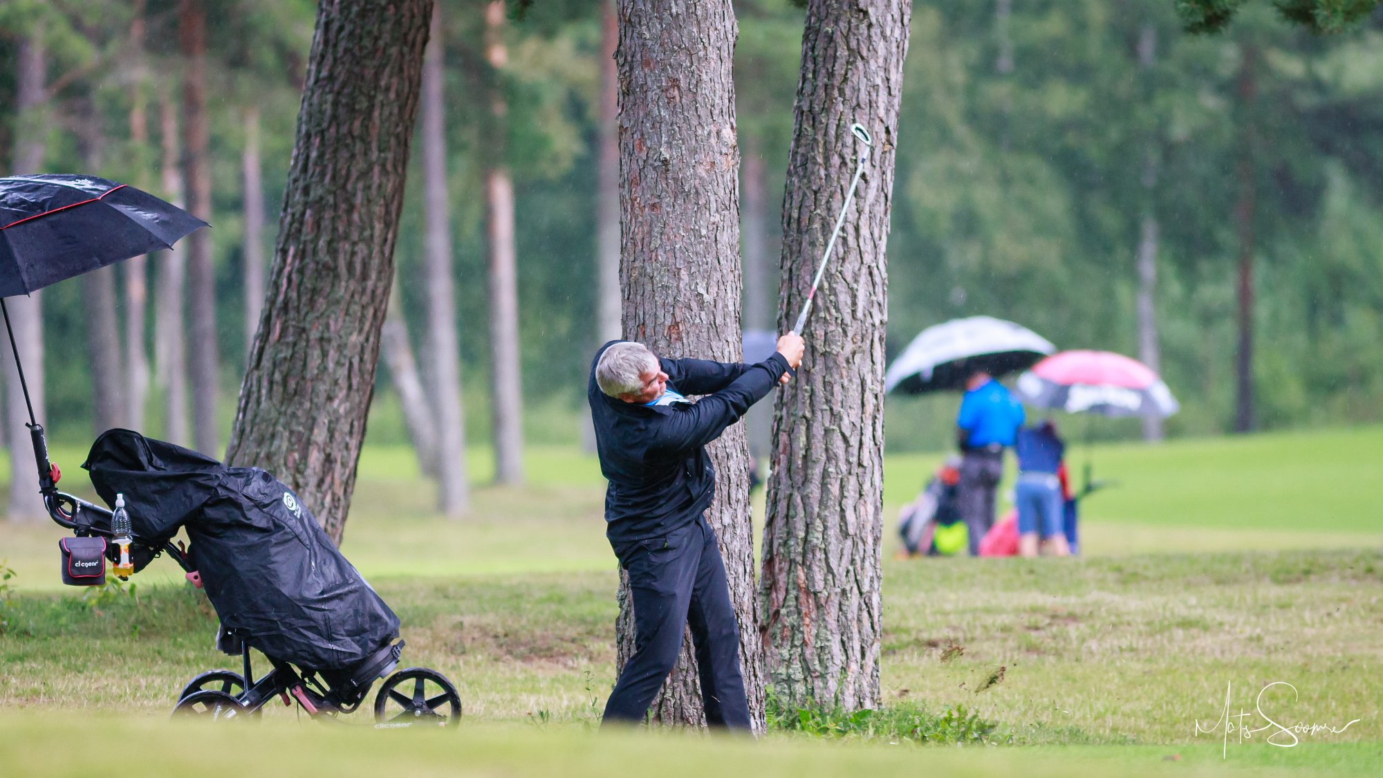 Niitvälja Golf meistrivõistlused 2019 