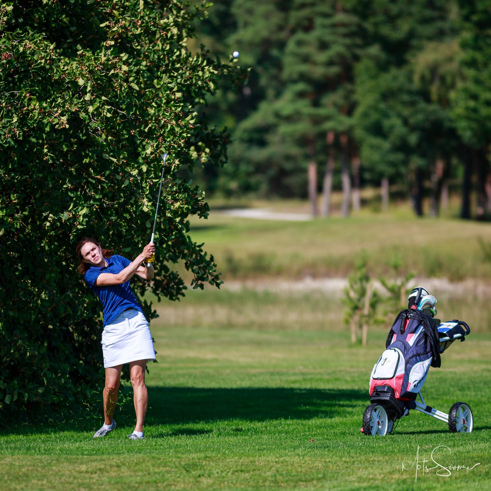 Niitvälja Golfiklubi meistrivõistlused 2019 