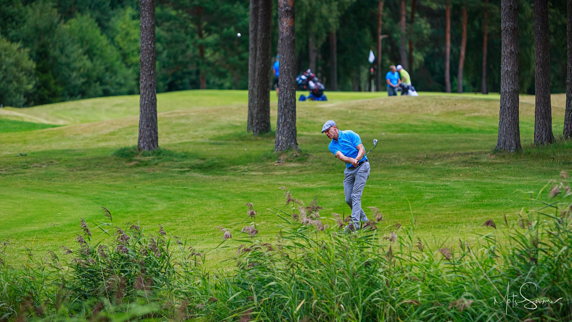 Niitvälja Golfiklubi meistrivõistlused 2019 