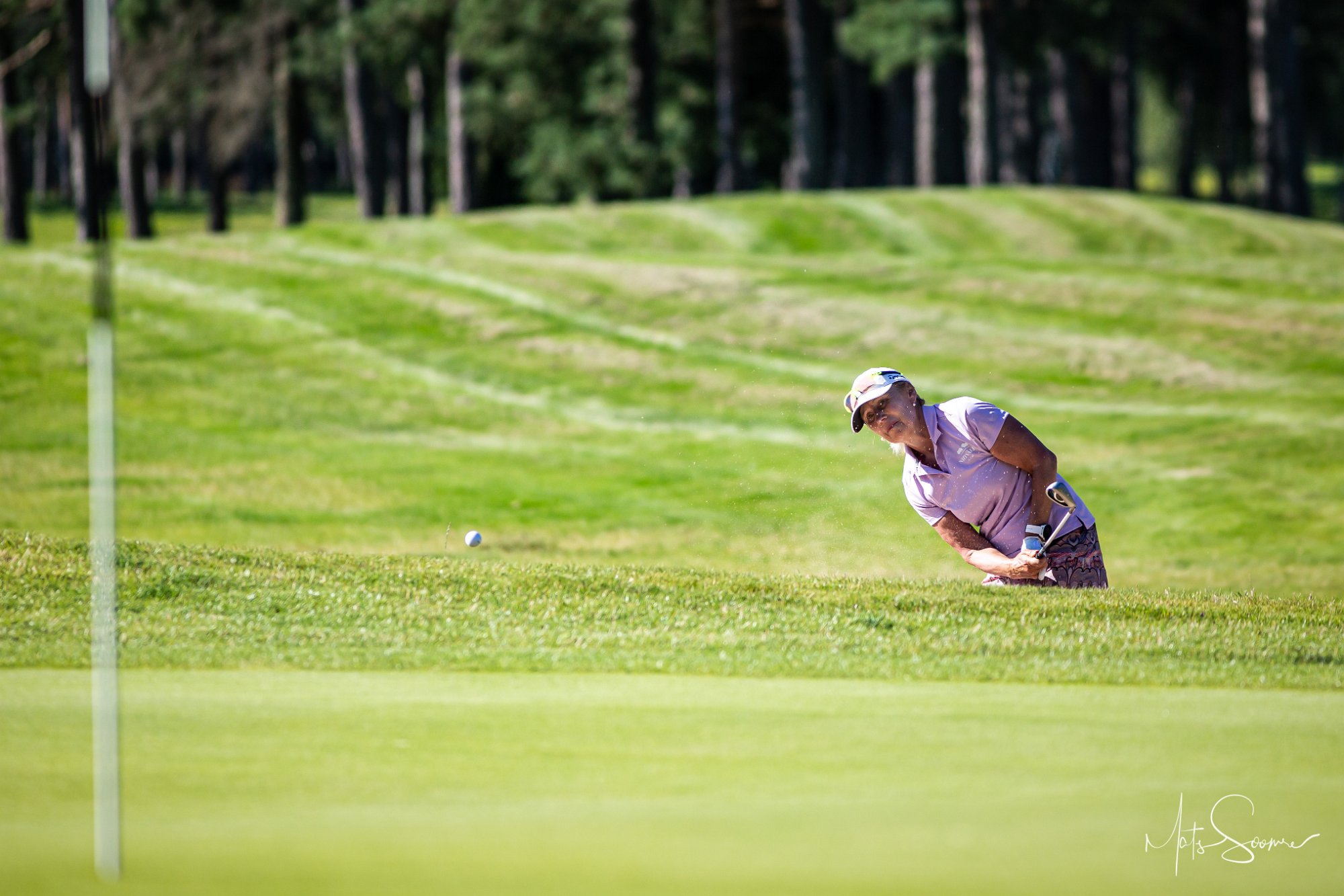 Niitvälja Golf meistrivõistlused 2020 