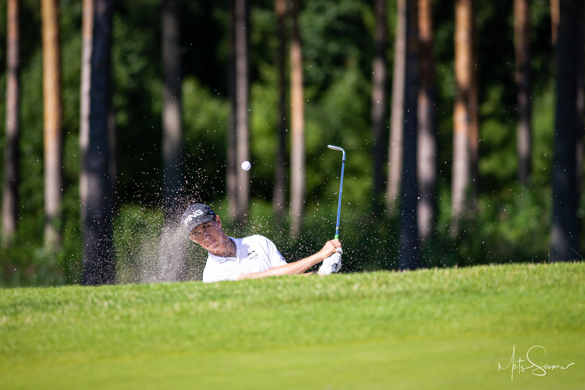 Niitvälja Golf meistrivõistlused 2020 