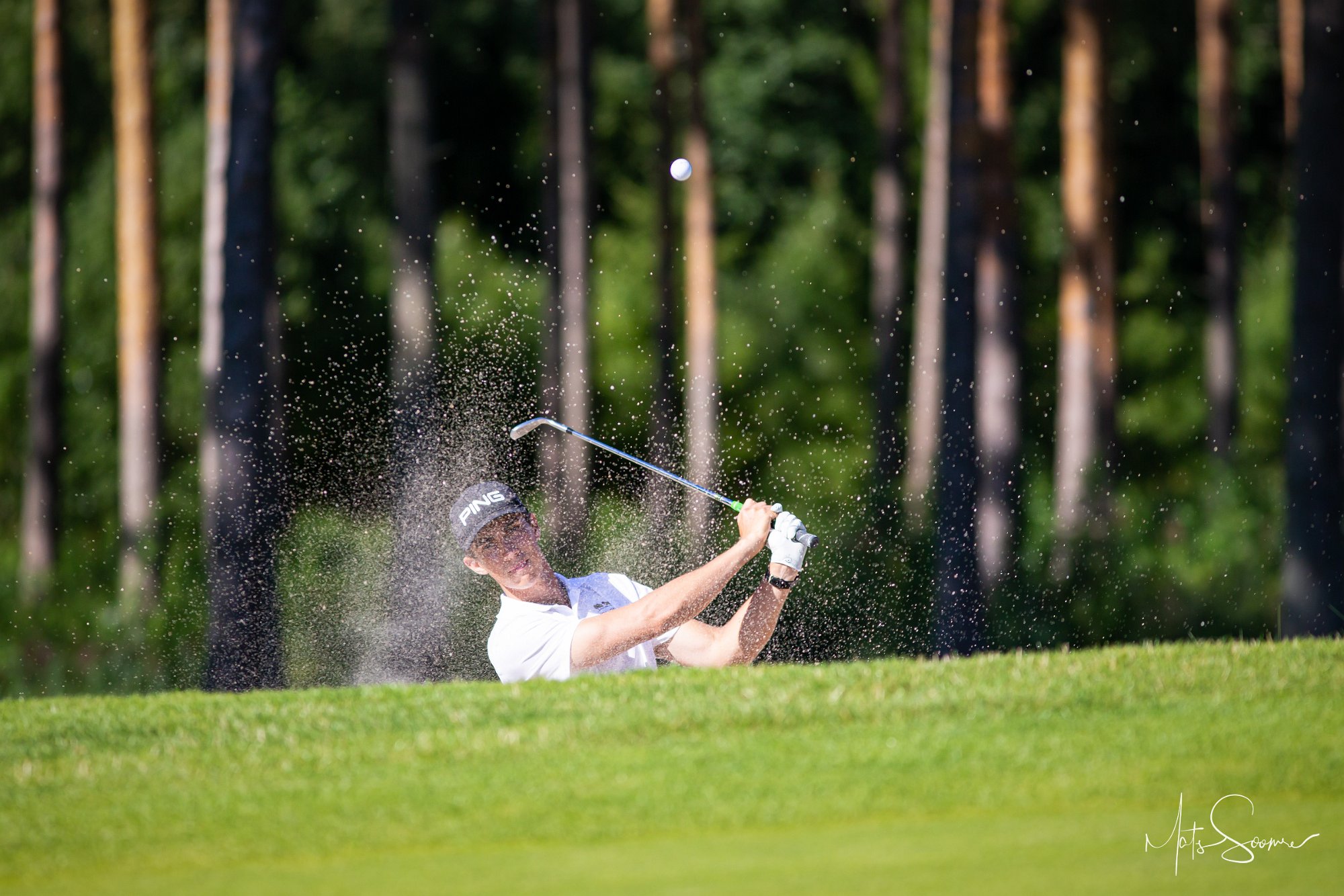 Niitvälja Golf meistrivõistlused 2020 