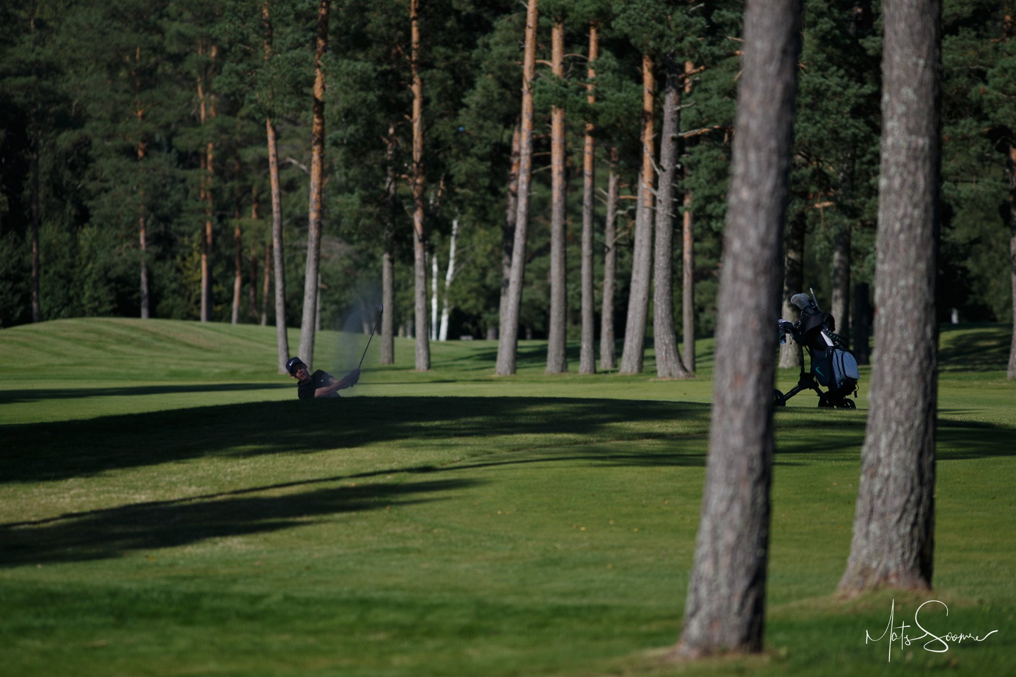 Niitvälja Golf meistrivõistlused 2020 