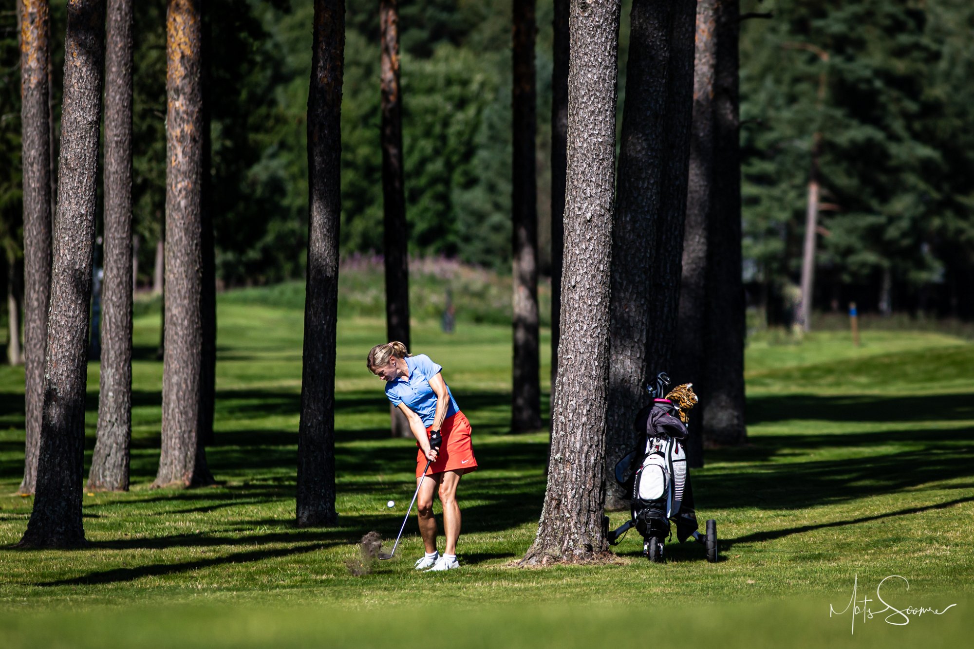 Niitvälja Golf meistrivõistlused 2020 