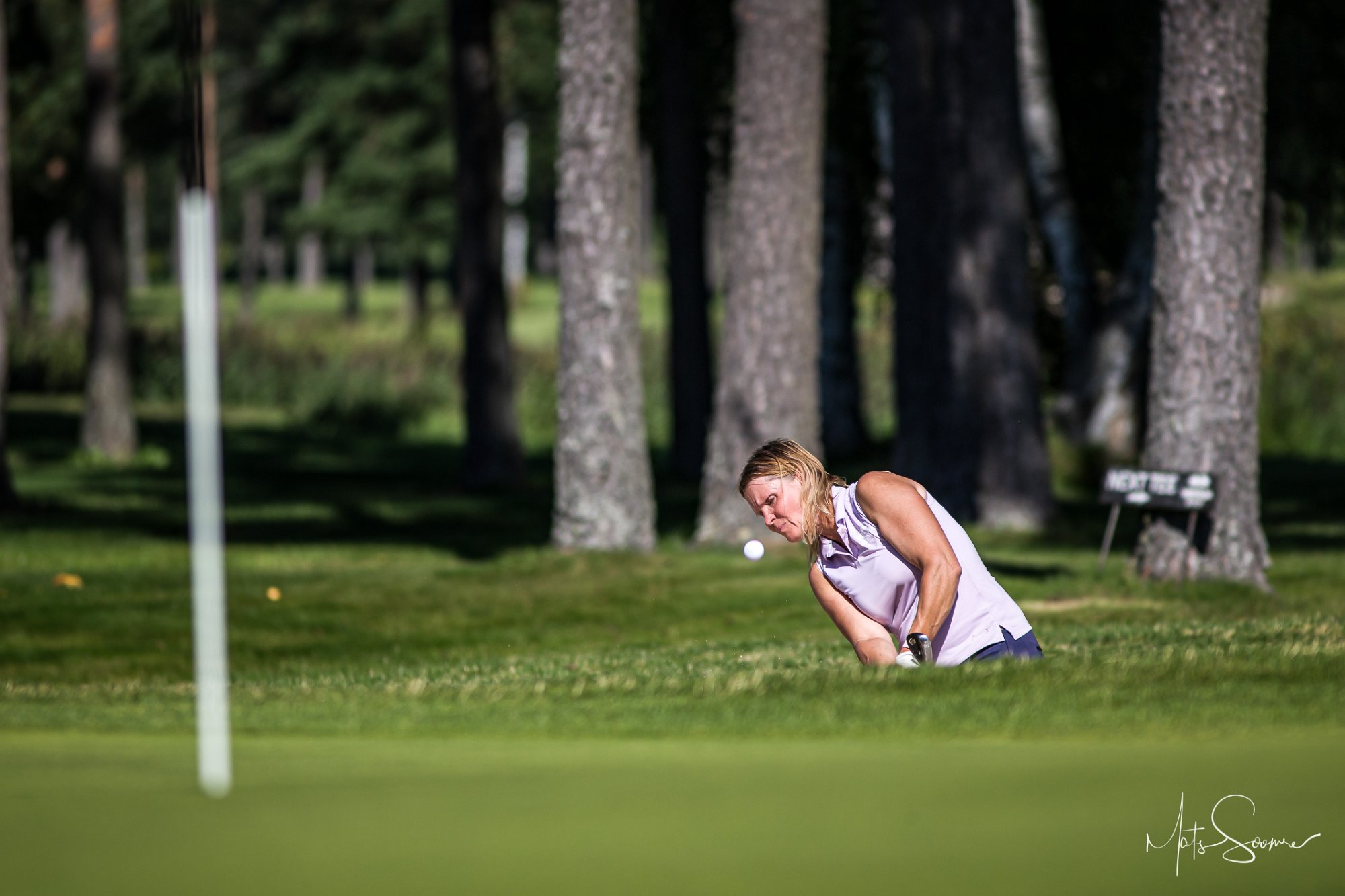 Niitvälja Golf meistrivõistlused 2020 