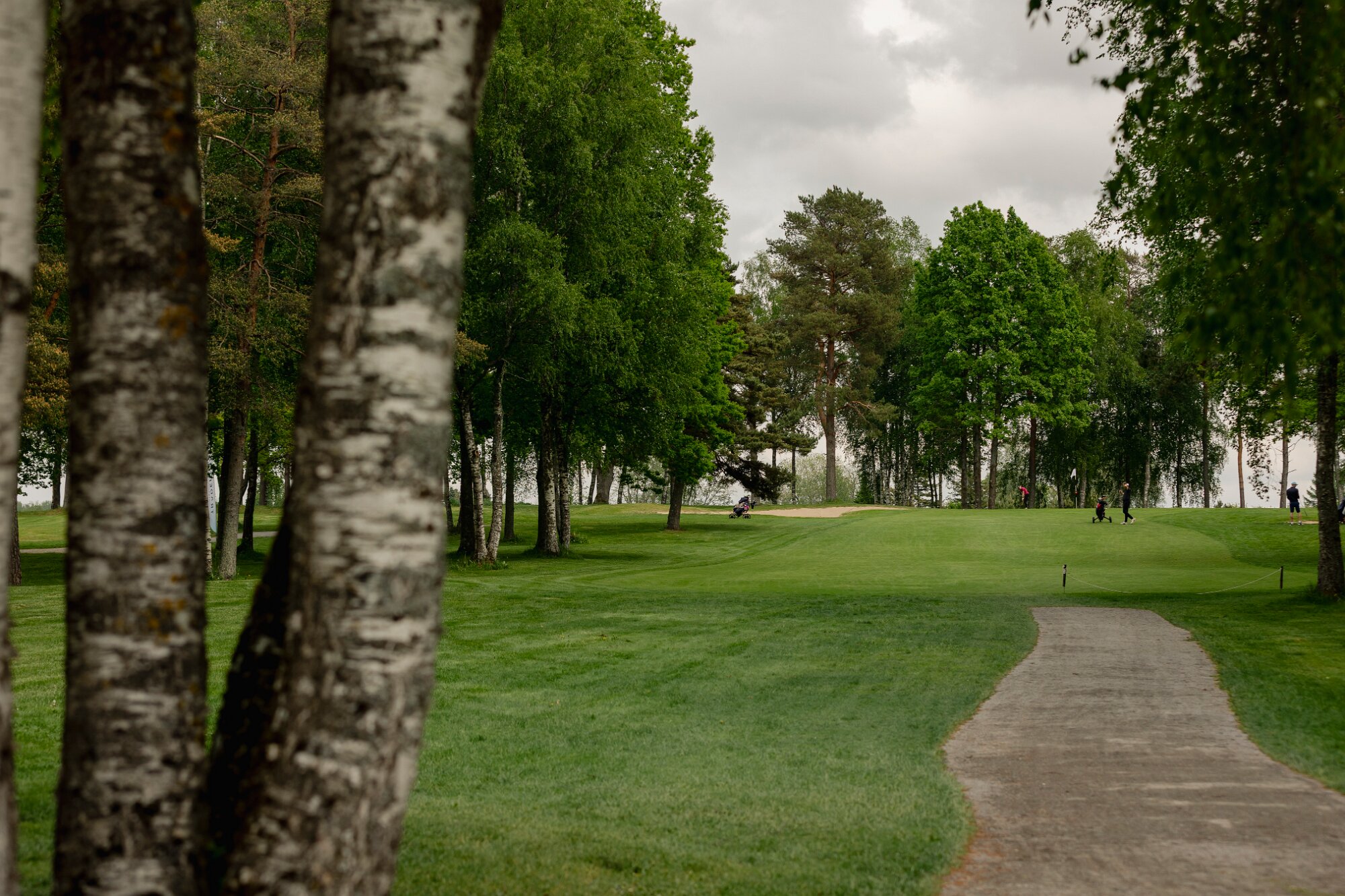 5X6A0387@edmondmällphotography 